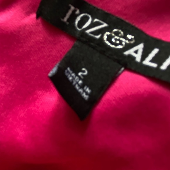 PARTY LACE OVERLAY HOT PINK DRESS by Roxy & Ali Size 2 fully lined Back zip NICE - Picture 9 of 14